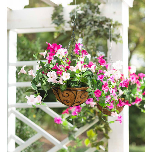 Plow & Hearth 20'' Faux Flowering Plant in Basket Wayfair